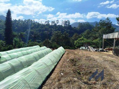 Terreno à Venda em José Boiteux – SC Terreno à Venda em José Boiteux – SC