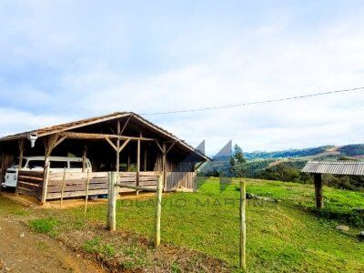 IMPERDÍVEL! IMÓVEL RURAL À VENDA EM AURORA - SC IMPERDÍVEL! IMÓVEL RURAL À VENDA EM AURORA - SC