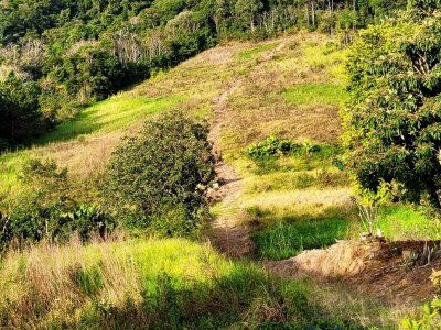Terreno Urbano à Venda em Ituporanga/SC Terreno Urbano à Venda em Ituporanga/SC
