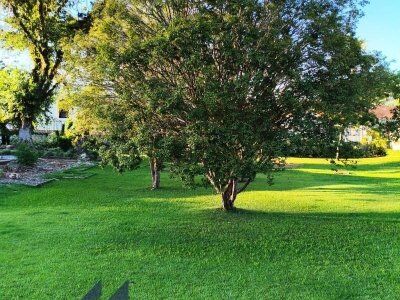 Terreno à venda em José Boiteux/SC – Excelente oportunidade! Terreno à venda em José Boiteux/SC – Excelente oportunidade!