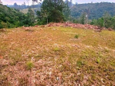 TERRENO COMERCIAL À VENDA – SANTA TEREZA - AURORA/SC TERRENO COMERCIAL À VENDA – SANTA TEREZA - AURORA/SC