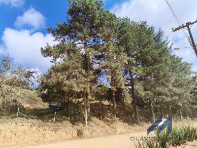 Terreno à Venda em José Boiteux – SC Terreno à Venda em José Boiteux – SC